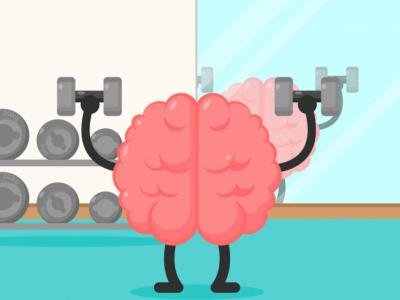 musculo e cerebro